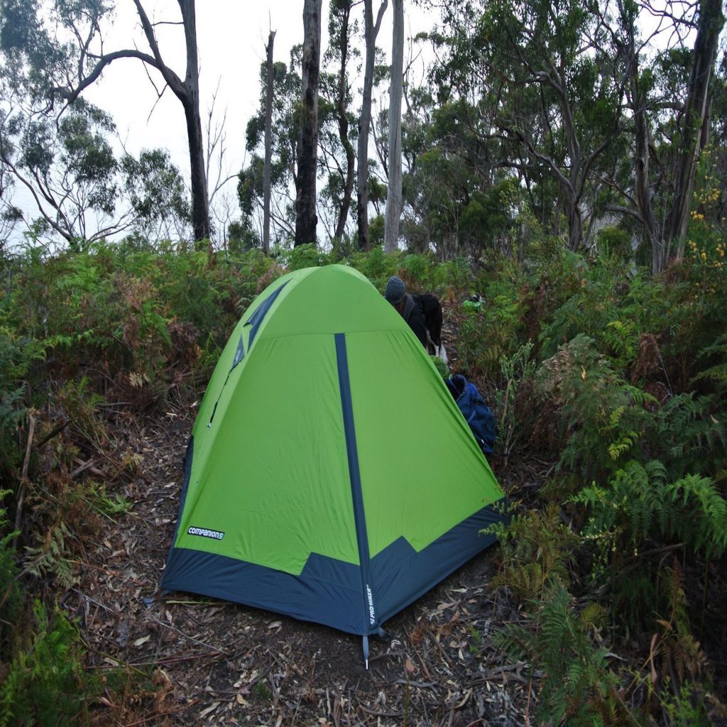 COMPANION PRO HIKER TENT