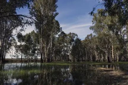 Camping near melbourne